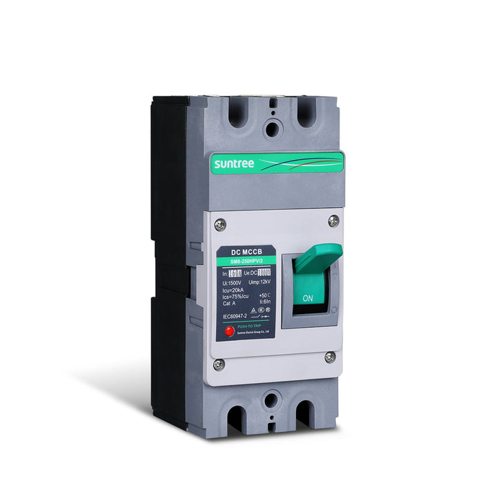 Renogy 160A 2P DC Molded Case Circuit Breaker