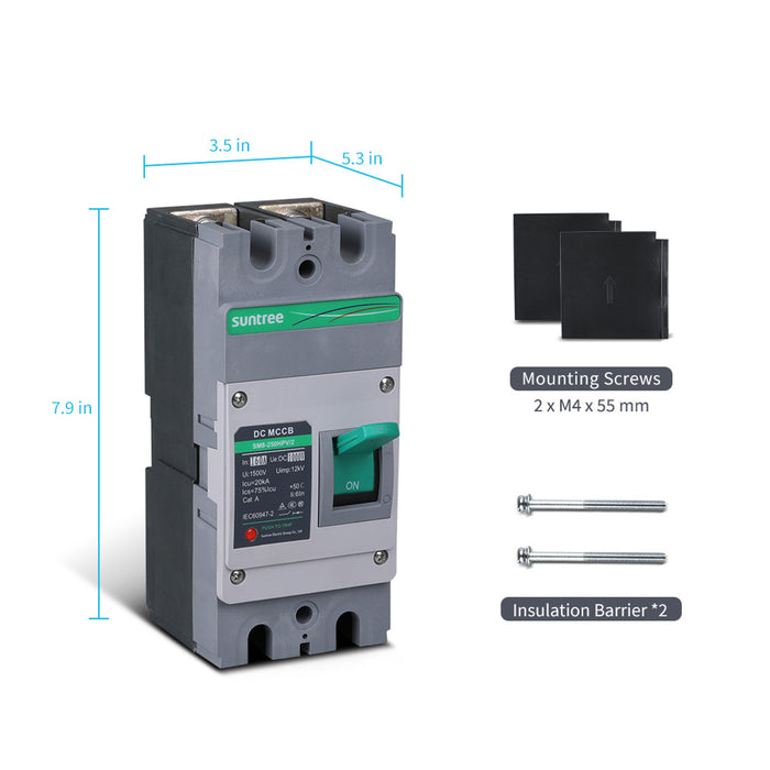 Renogy 160A 2P DC Molded Case Circuit Breaker