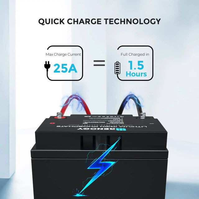 Renogy 24V 25Ah Lithium Iron Phosphate Battery