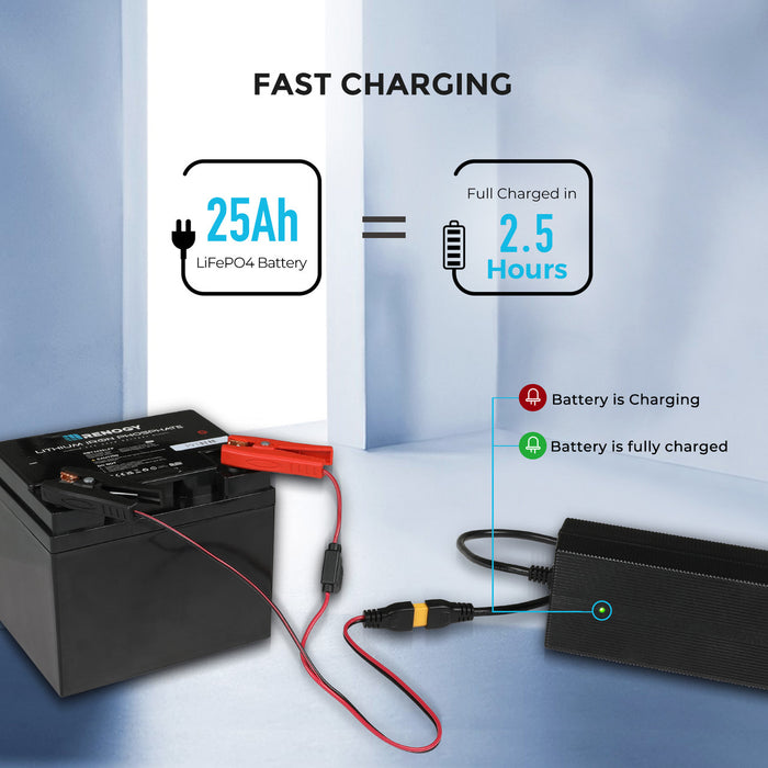 24V 10A AC-to-DC LFP Portable Battery Charger