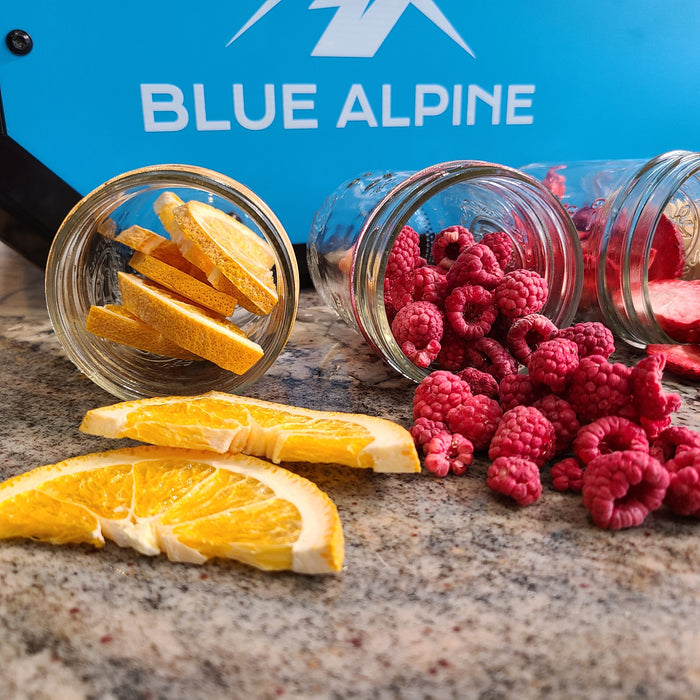 Blue Alpine Medium Freeze Dryer