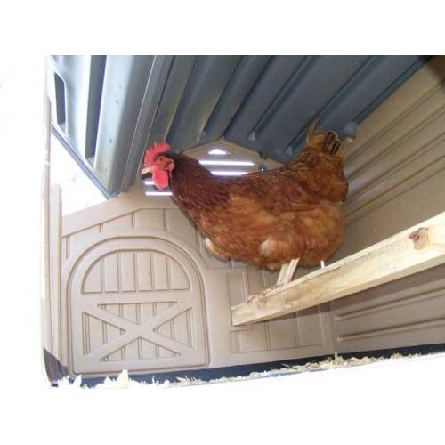 Snap Lock Standard Chicken Coop