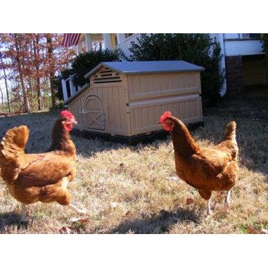 Snap Lock Standard Chicken Coop