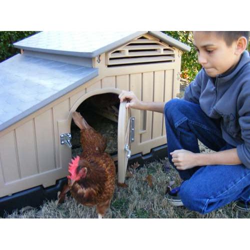 Snap Lock Standard Chicken Coop