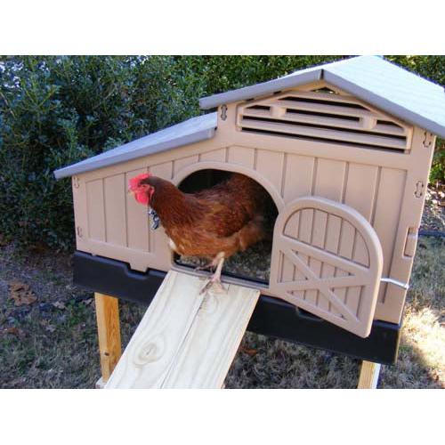 Snap Lock Standard Chicken Coop