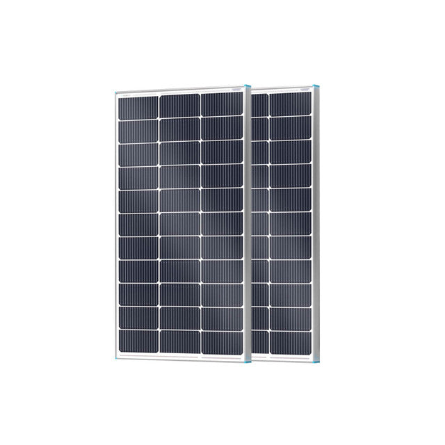 Renogy 16BB N-Type 100 Watt Solar Panel