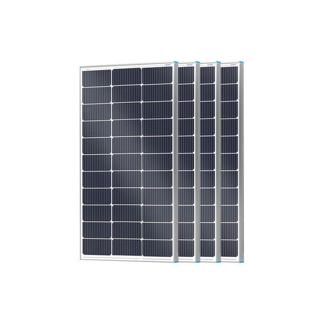 Renogy 16BB N-Type 100 Watt Solar Panel