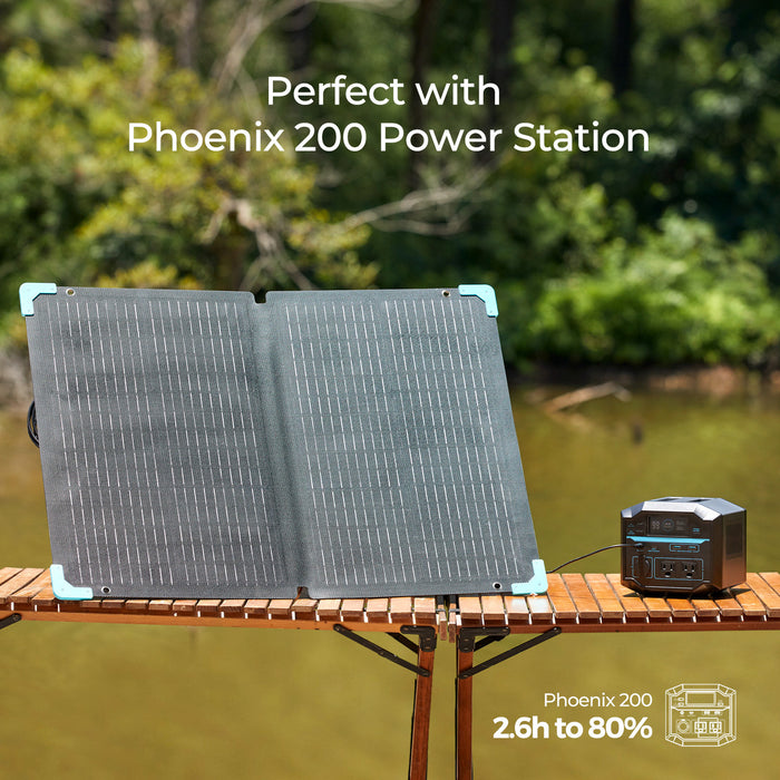 Renogy E.FLEX 80W Portable Solar Panel