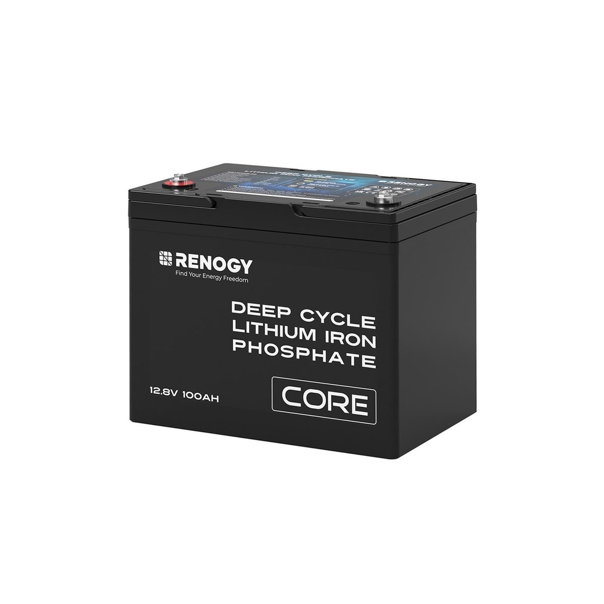 Renogy 12V 100Ah Core Series Deep Cycle Lithium Iron Phosphate Battery ...