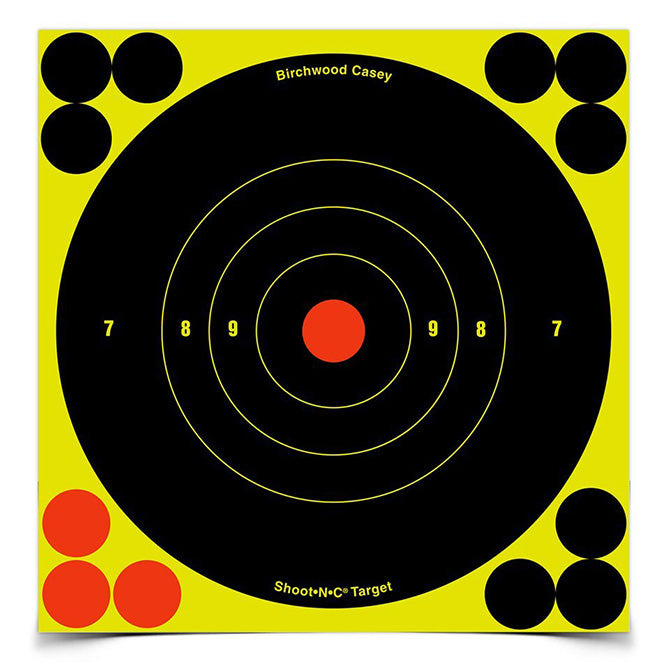 Action Target Shoot-N-C 6" Bull's-Eye, 60 Targets - 720 Pasters