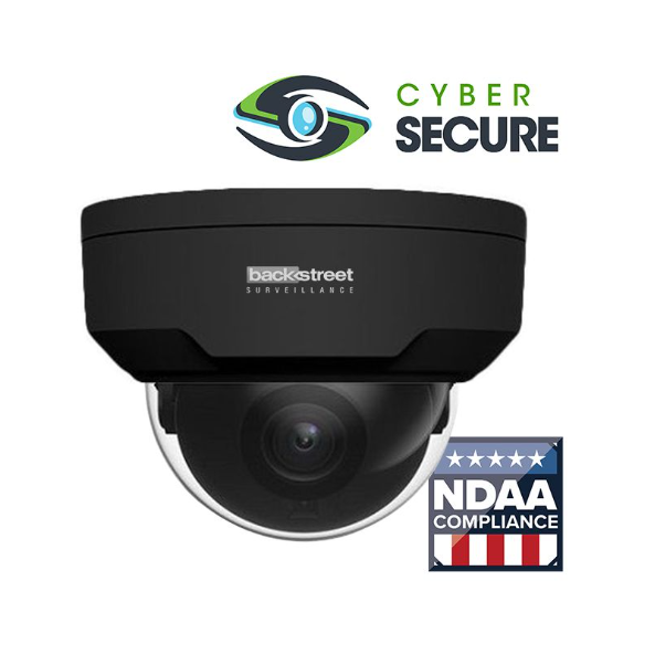 BackStreet Surveillance (CSK4-100BLTE) 4 Camera Black Dome Surveillance System