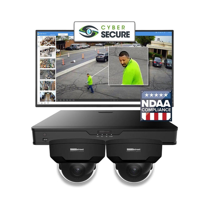 BackStreet Surveillance (CSK2-100BLTE) 2 Camera Black Dome Surveillance System