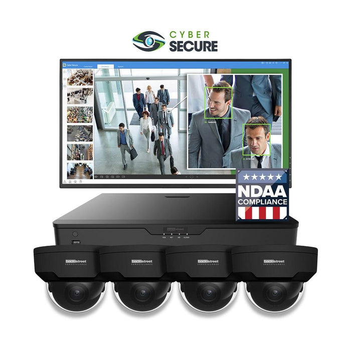 BackStreet Surveillance (CSK4-100BLTE) 4 Camera Black Dome Surveillance System