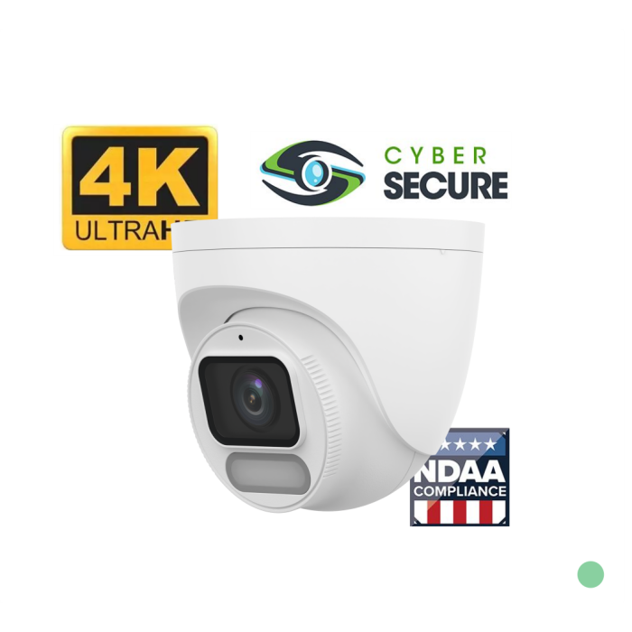 BackStreet Surveillance (CS100D) 4k Turret Vandal Dome