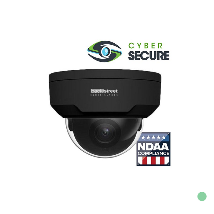 BackStreet Surveillance (CS100BLTE) Black PoE Dome Security Camera